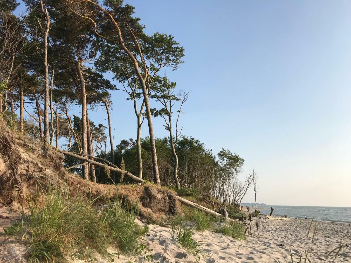 "Leuchtturmhaus" By Ferienhaus Strandgut Борн Экстерьер фото